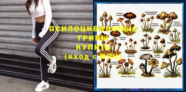 прущий лед Вяземский
