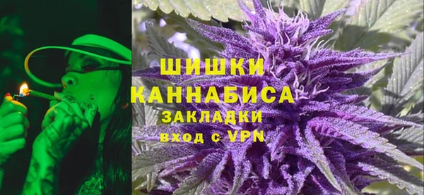 прущий лед Вяземский