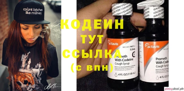 прущий лед Вяземский