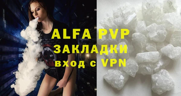 прущий лед Вяземский