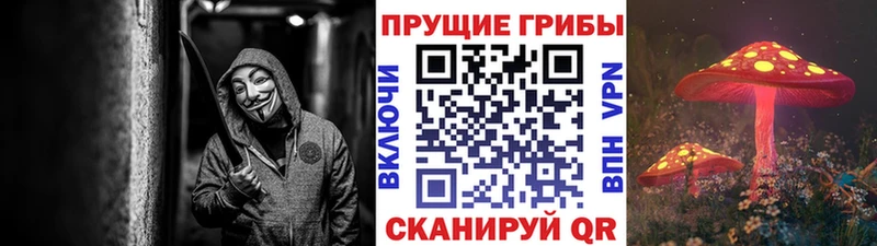 Галлюциногенные грибы Psilocybine cubensis Купить Суздаль